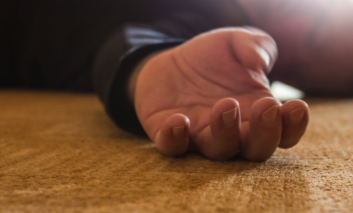 Фото носит иллюстративный характер: открытые источники