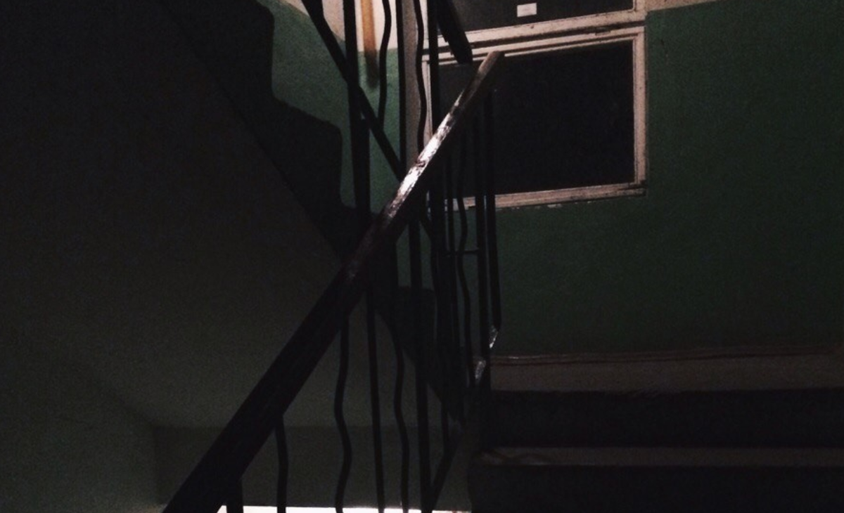 Фото носит иллюстративный характер: открытые источники