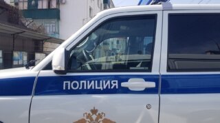    Элина Болдырева Юлия Виноградова