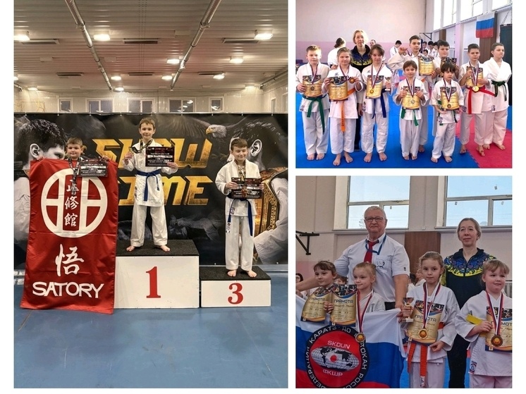     Фото: соцсеть «ВКонтакте», ДС «Надежда»