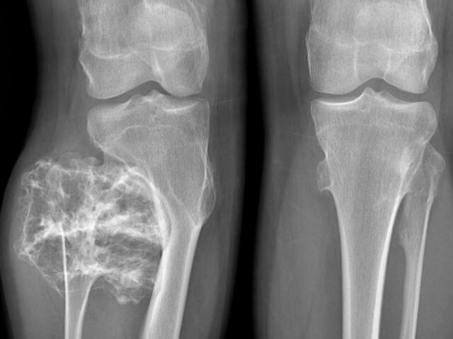    Фото: mz.mosreg.ru