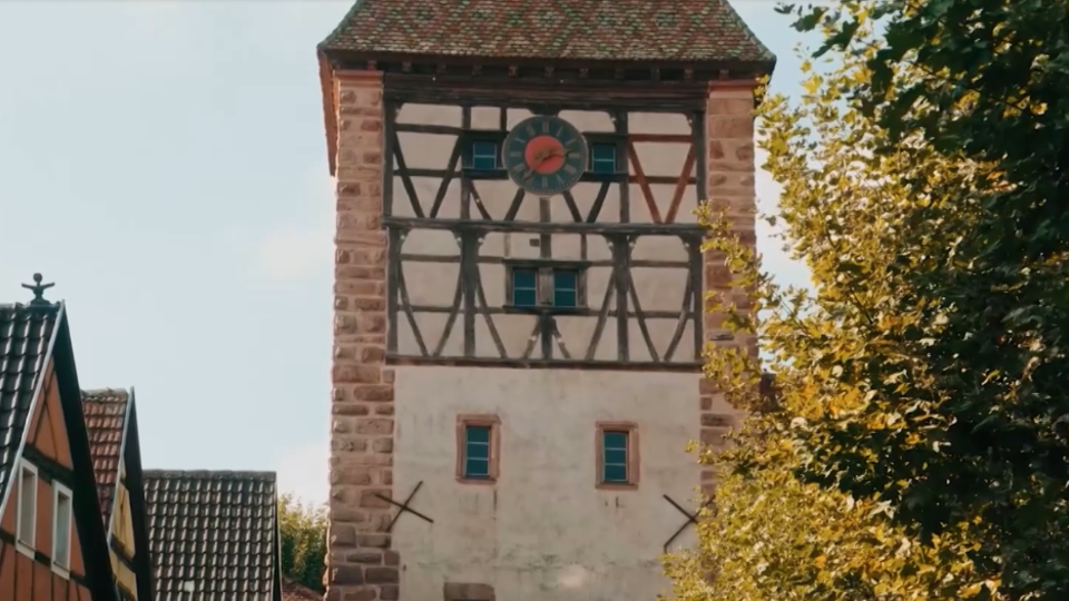 ФОТО: Кадр из программы "Невероятно интересные истории", РЕН ТВ