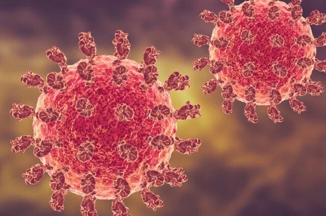    Как защититься от вируса Нипах?