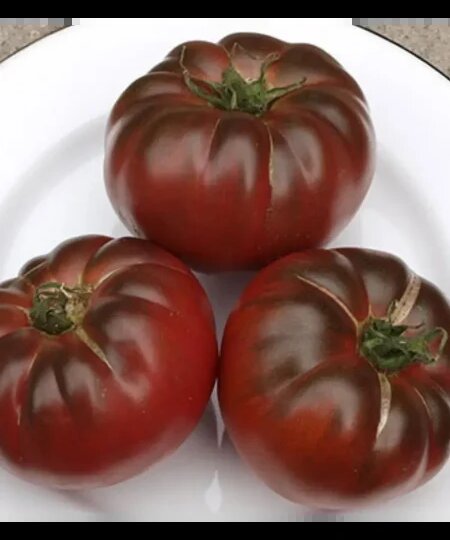 Томат Тайсон: мощный и урожайный сорт для теплиц и открытого грунта