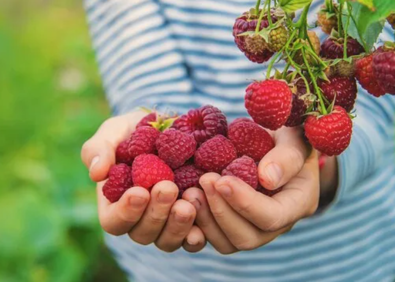 Фото: ru.freepik.com