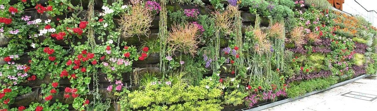    Живая стена в Калифорнии / © Downtowngal