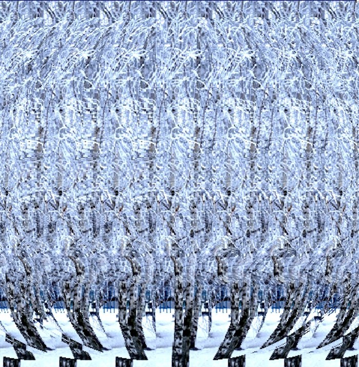 Стереограмма