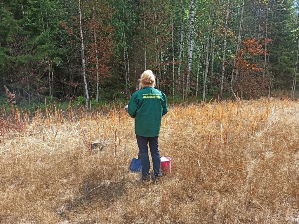    Фото: Управление Росприроднадзора Полина Анкушина