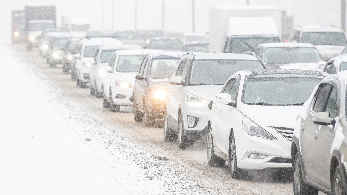    Фото: Ilya Moskovets/globallookpress.com