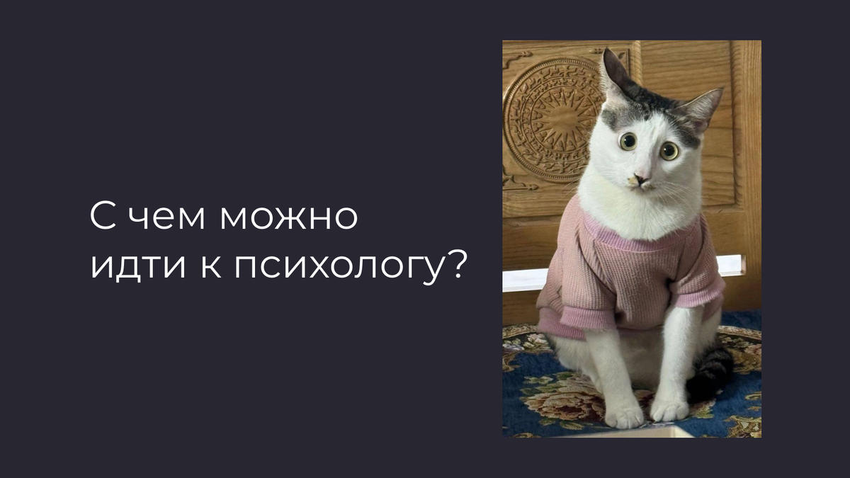 С какими вопросами можно идти к психологу. Натали Поленова, психолог. Онлайн и очно (СПб)