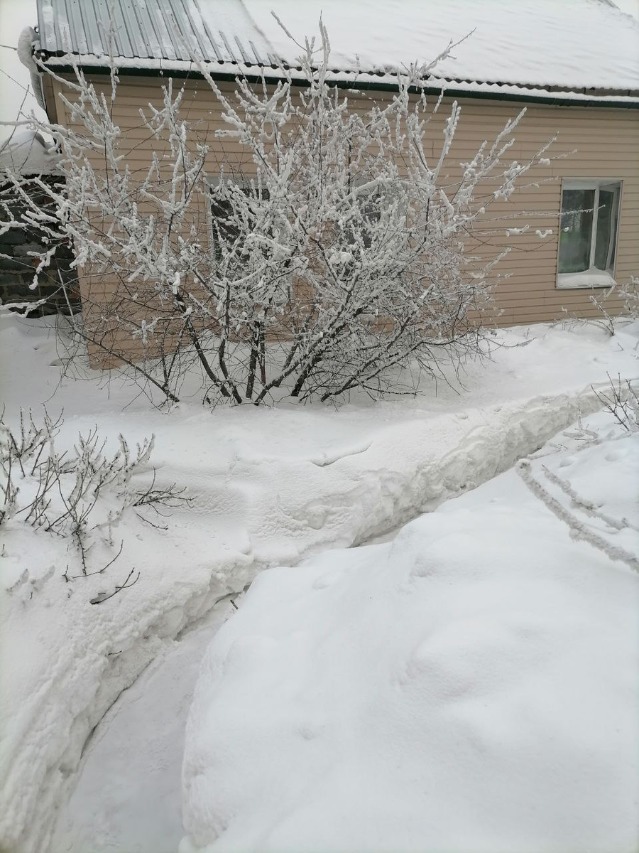 Наш дом и участок зимой, фото автора
