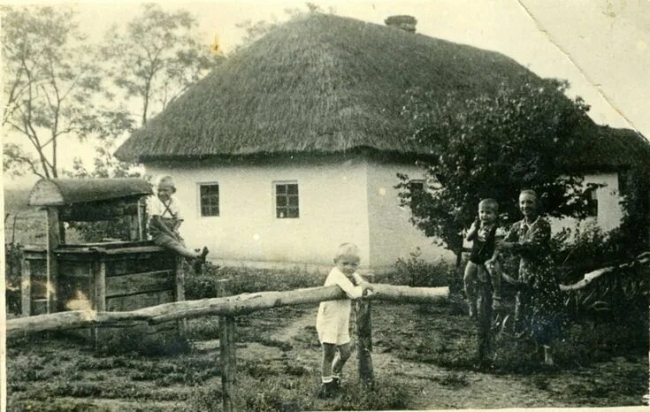 Взято из открытых источников интернета Яндекс.