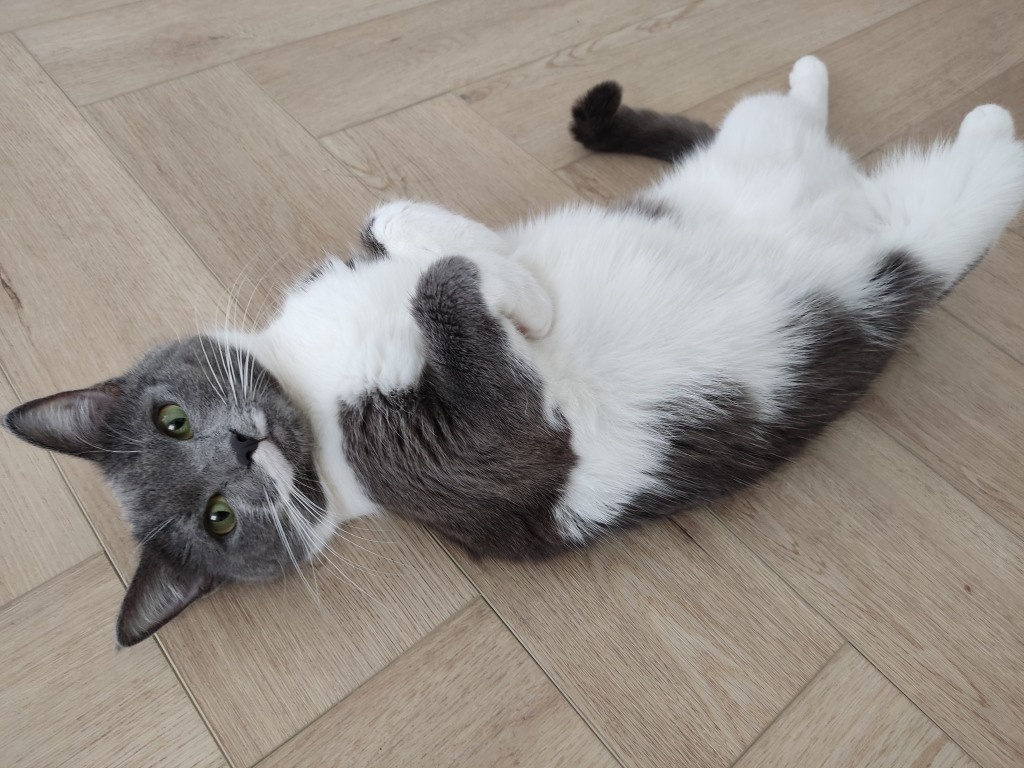 Кнопка: "Люблю подкрепитЦА и повалятЦА"...