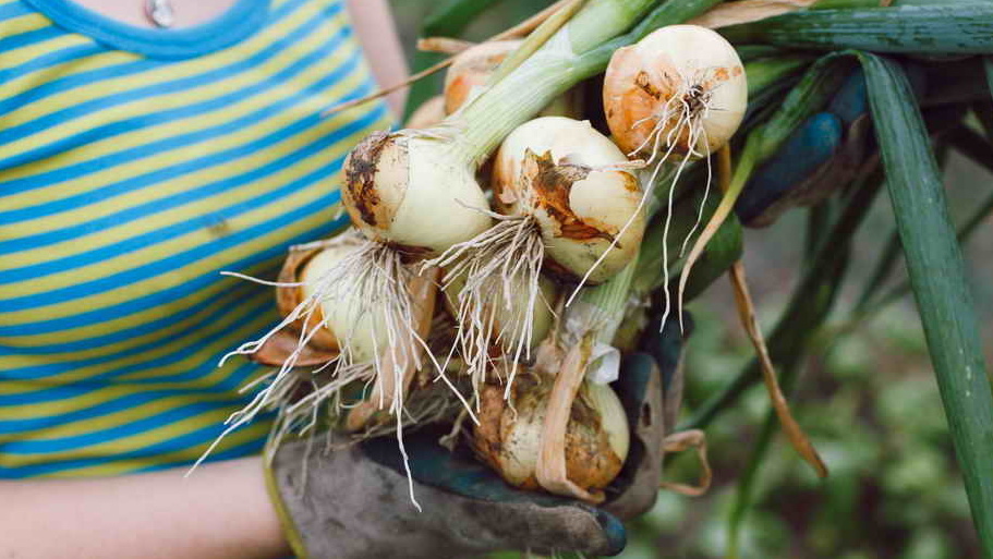 Сезультат правильной подготовки