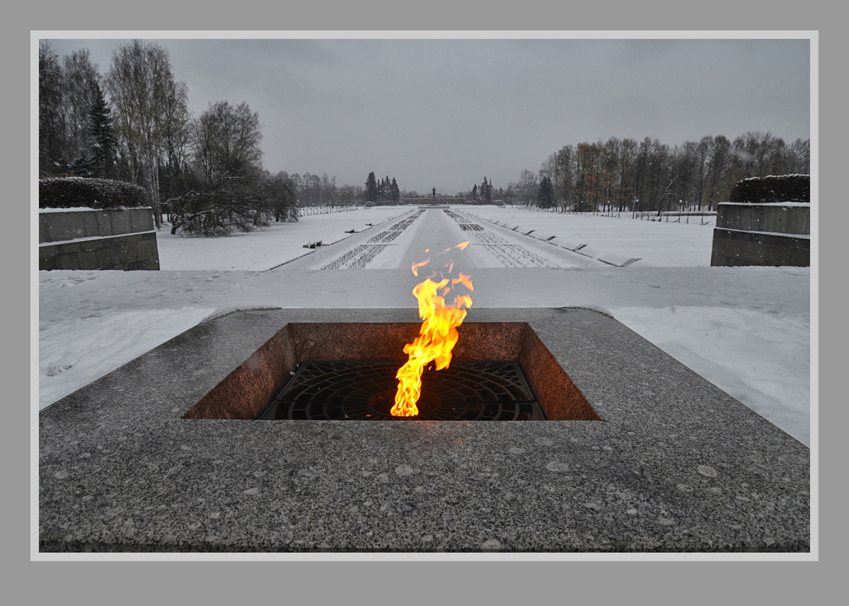 Пискаревское мемориальное кладбище. Фотография Александра Новикова. 2019