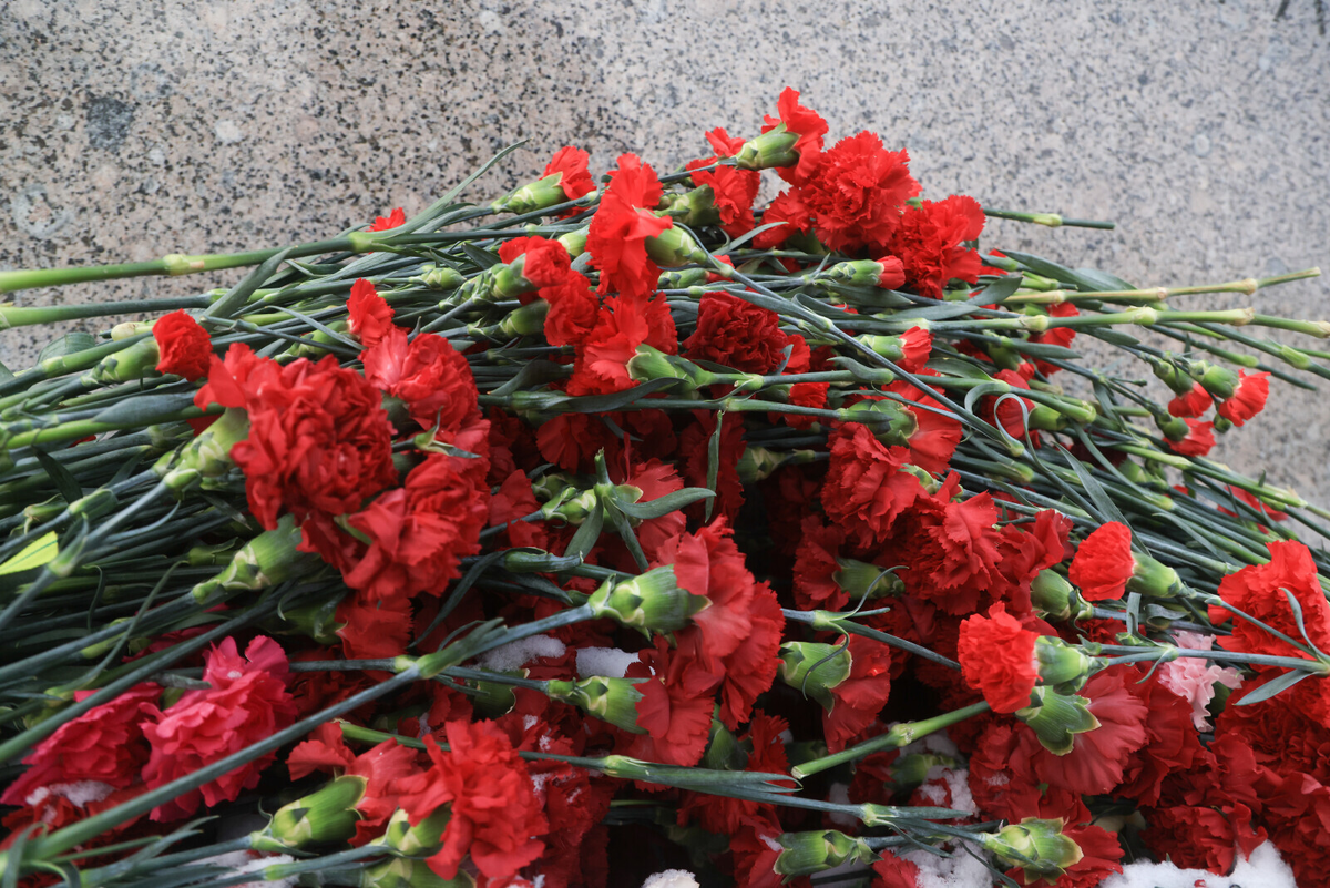 Фото: Александр Глуз / «Петербургский дневник»