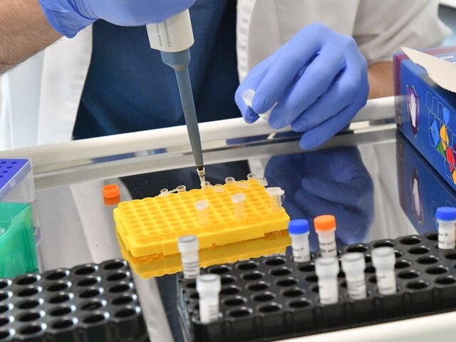    Фото: Москва 24/Антон Великжанин