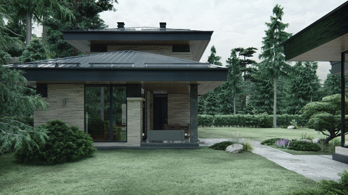 Перспектива Вид 2