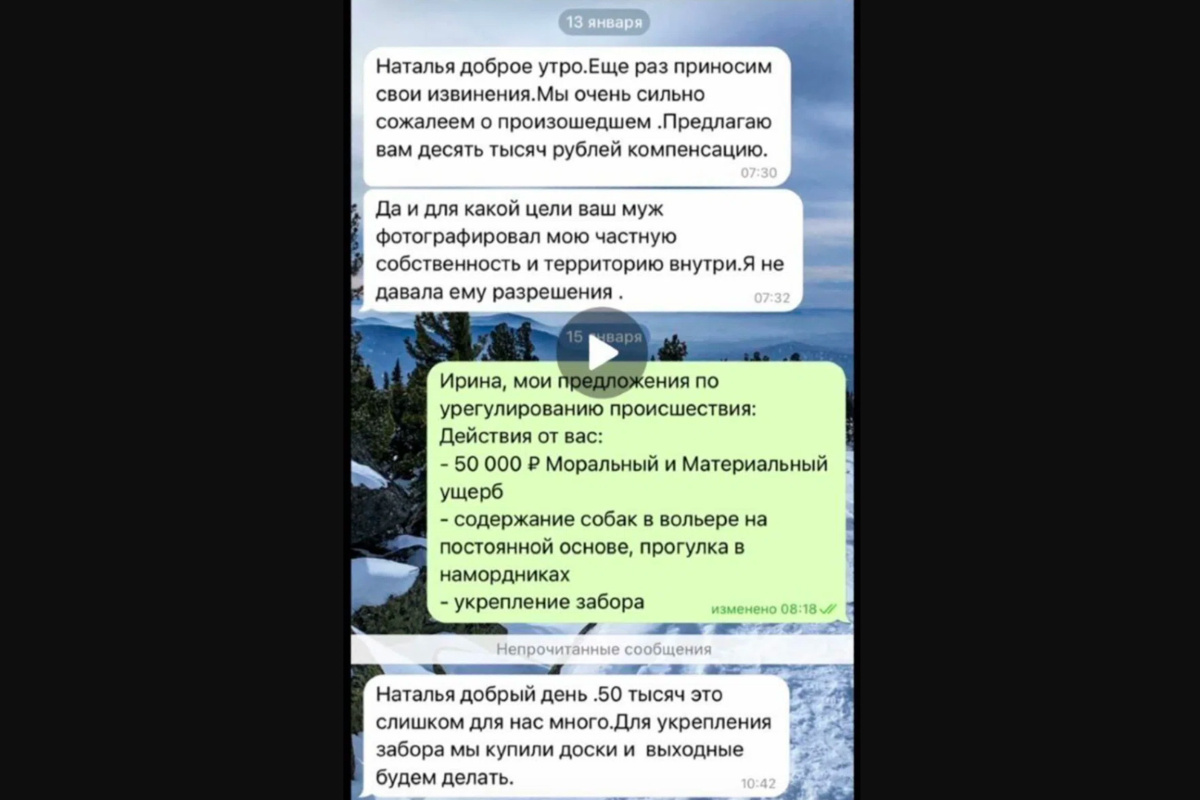 Хозяйка погибшего щенка так и не получила деньги. Фото: Наталья Попова