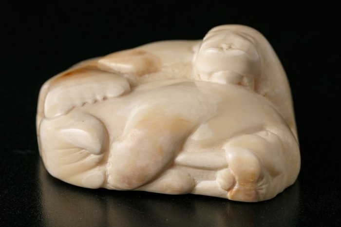    Фото: Дарвиновский музей