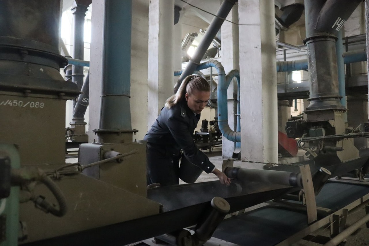    Фото: пресс-службе АЧМУ Россельхознадзора