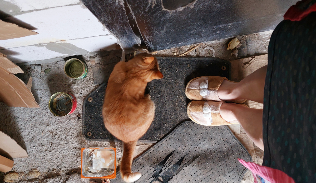 Как рыжий малыш нашёл свой дом