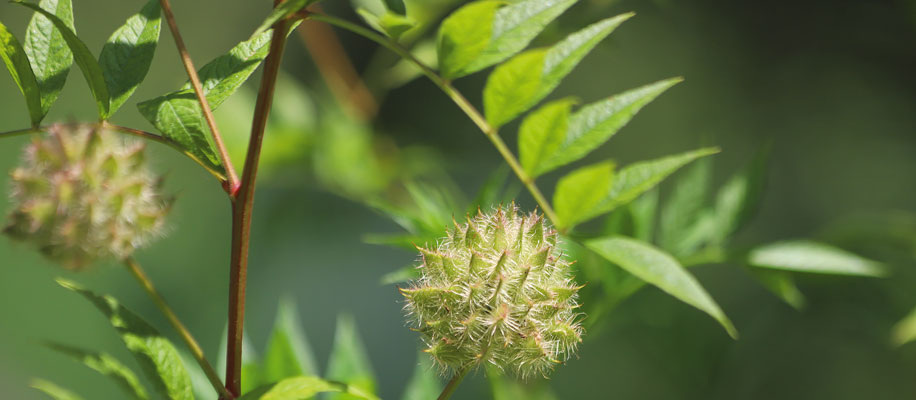 Фото: Kabar/Shutterstoсk/FOTODOM