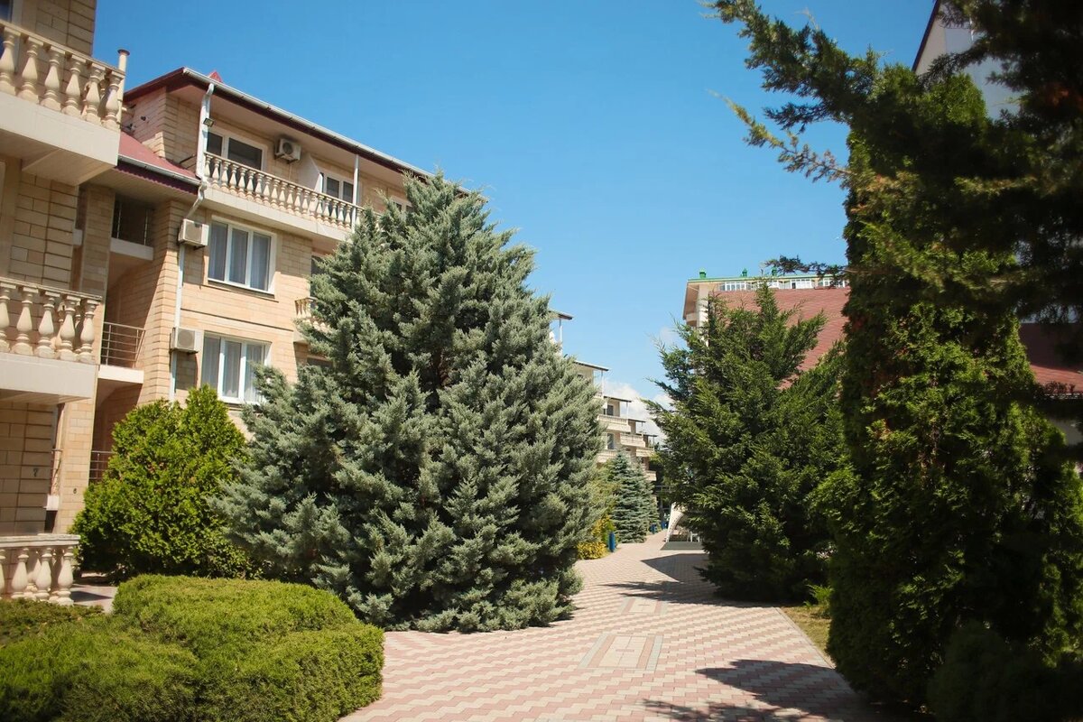 Территория