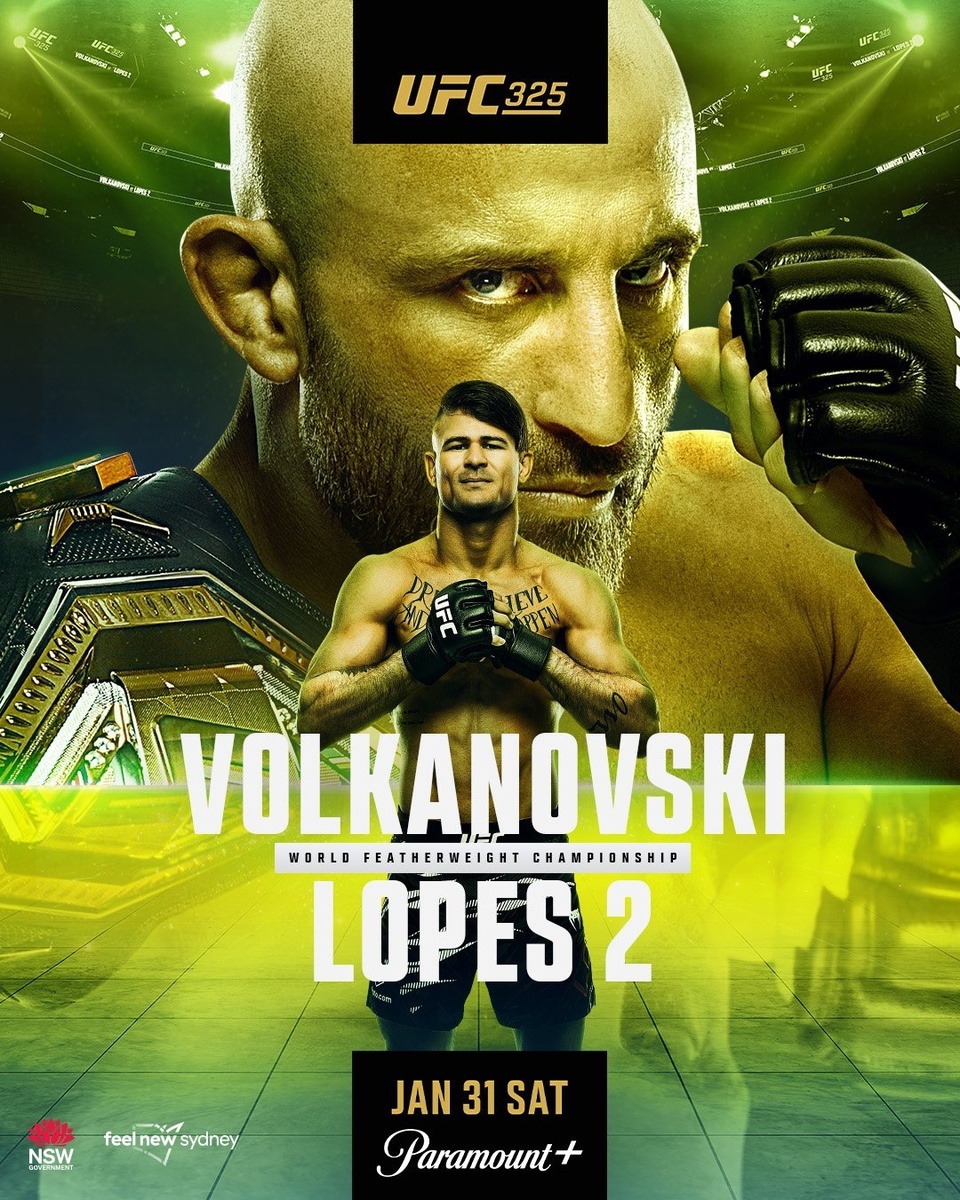     UFC 325