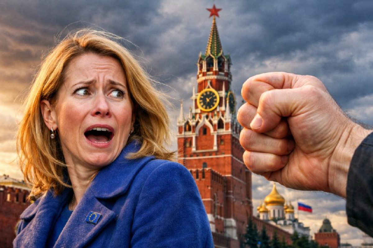    Фото: коллаж RuNews24.ru