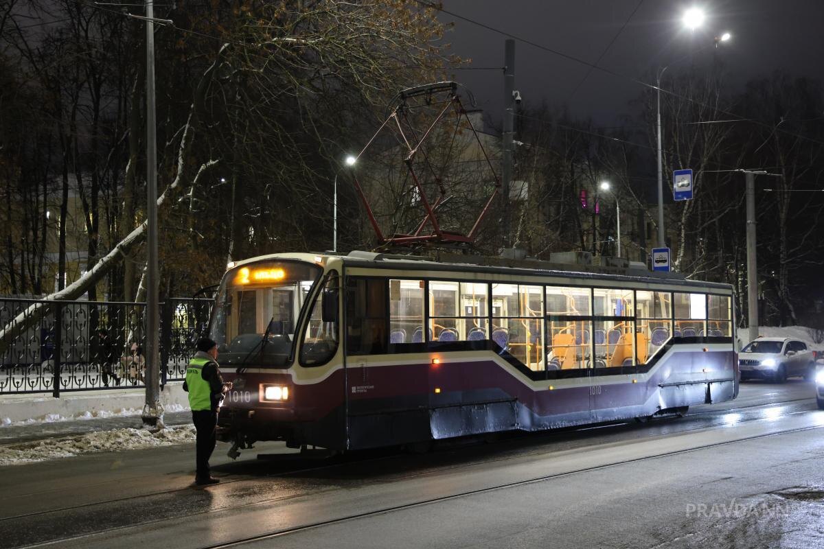    Выделенная полоса будет обустроена на участке от площади Лядова до улицы Максима Горького