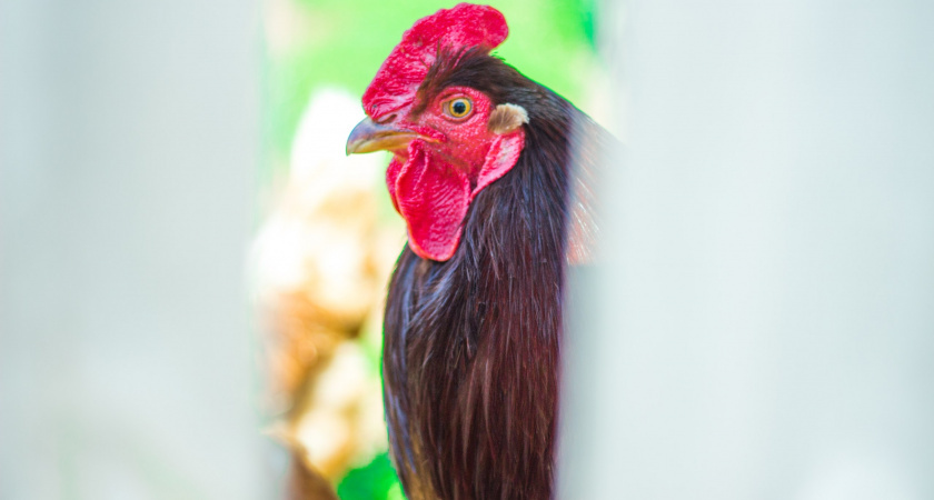    Фото из архива редакции