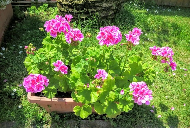 Фотография из интернета