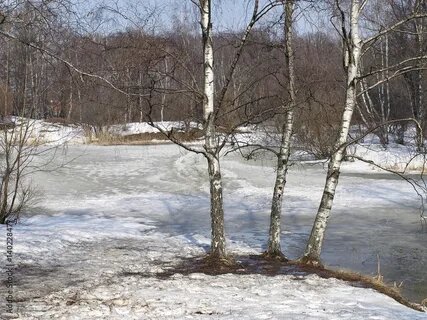 Картинка из интернета.