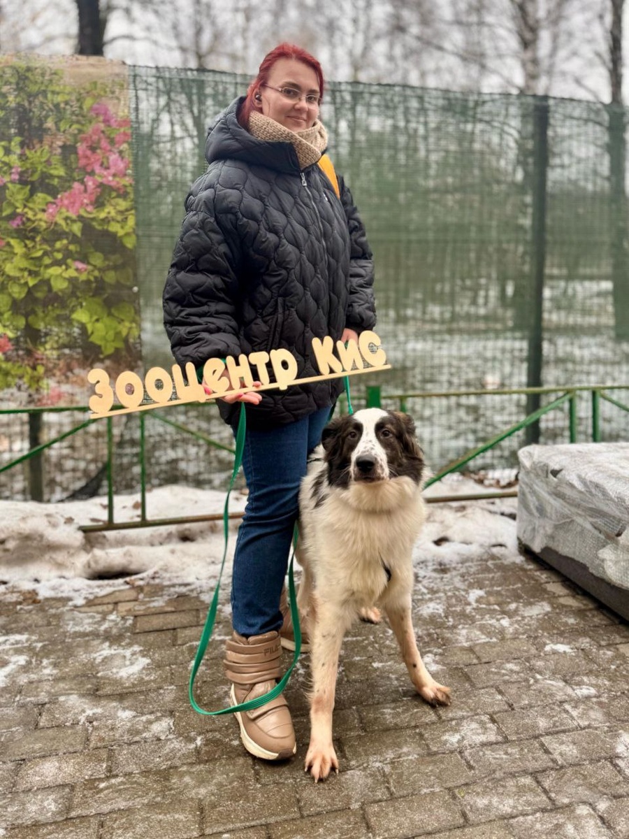 Я с одним из подопечных - Севером. Он уже дома