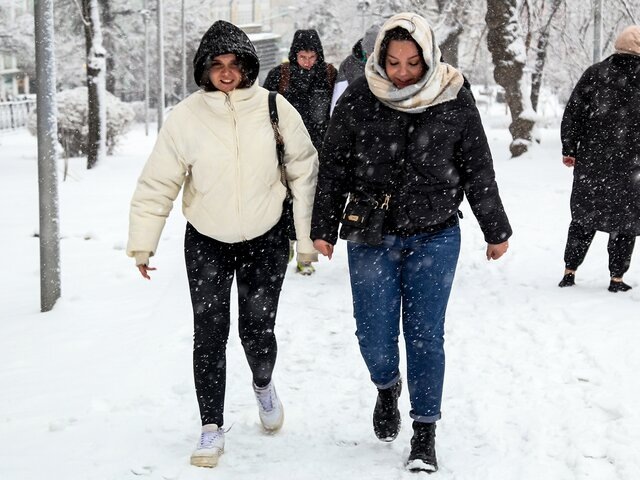    Фото: Москва 24/Лидия Широнина​