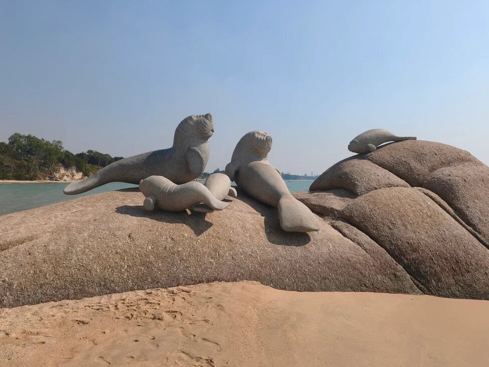 Фото автора. Пляж Хад Нам Рин (Had Nam Rin Beach). Дюгони