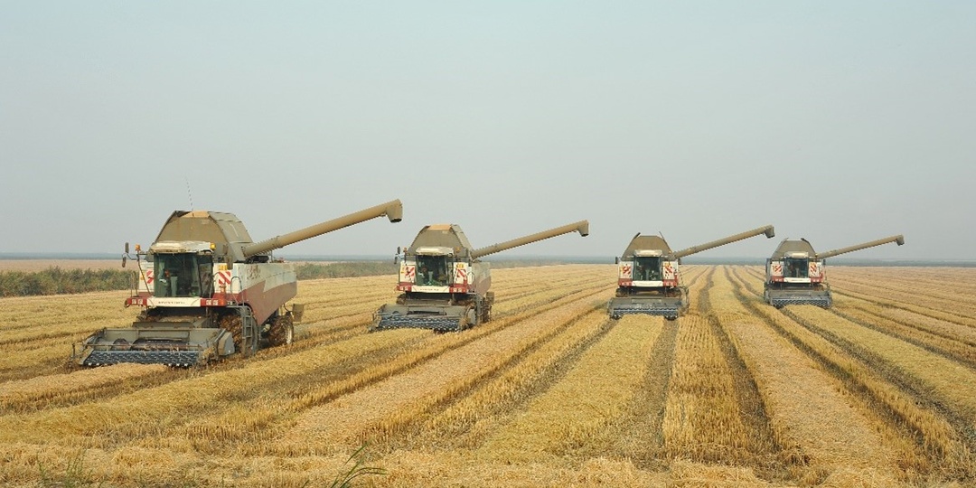 Стратегия 4R: практический подход к питанию растений