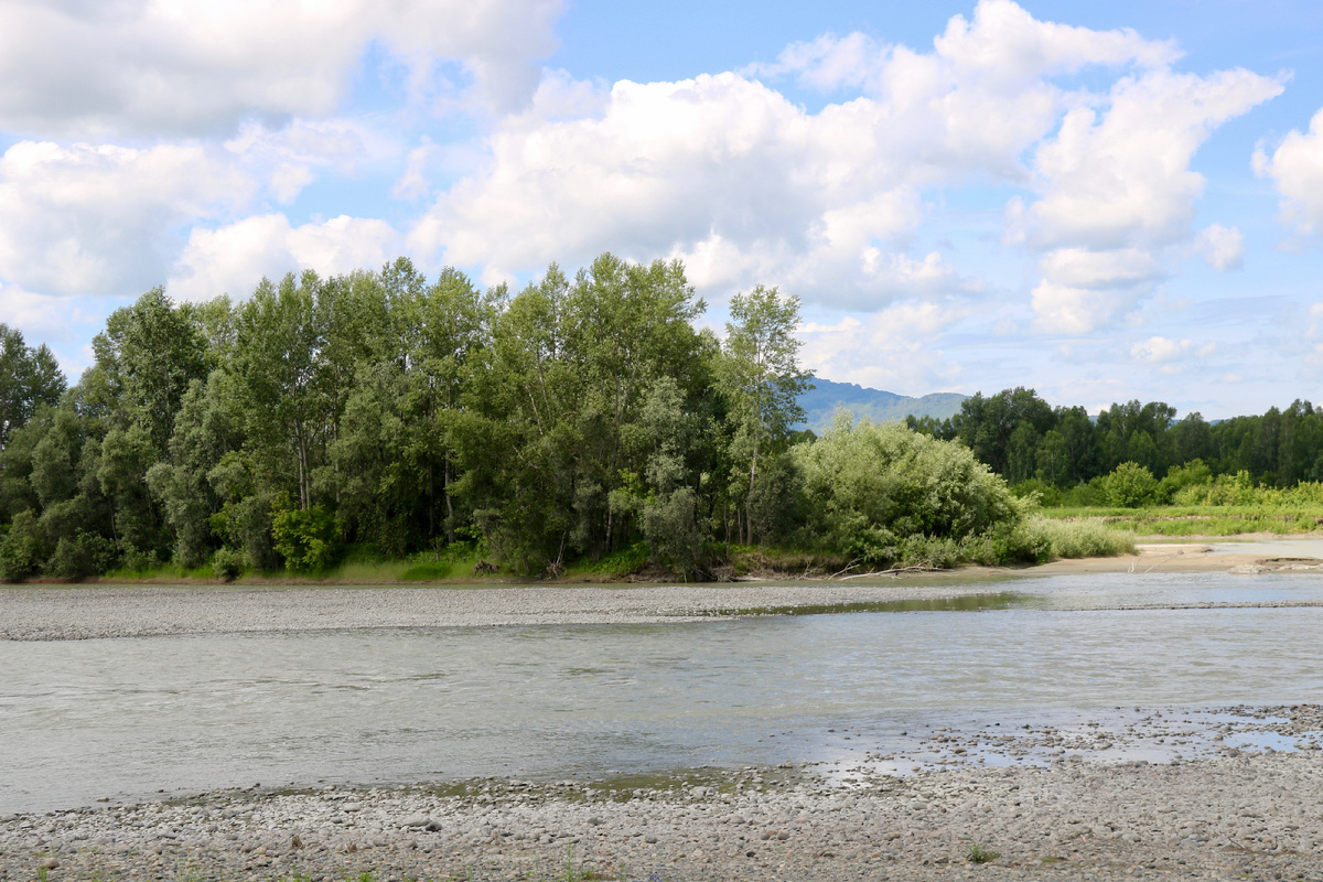 Река Катунь. Первое знакомство.