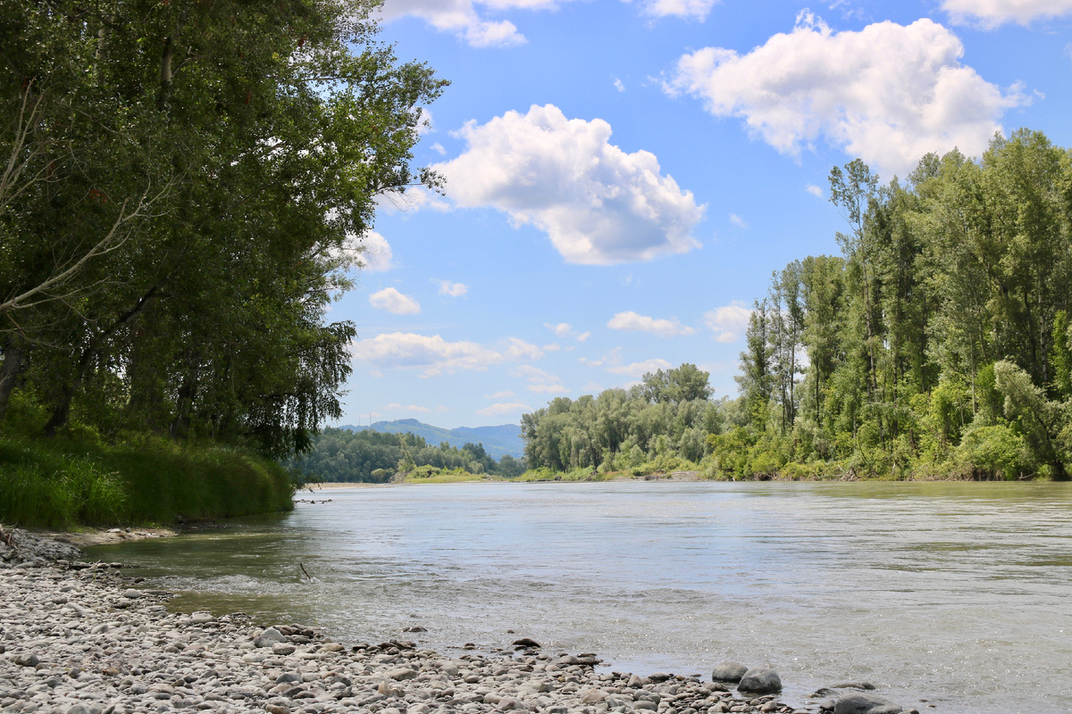 Река Катунь. Первое знакомство.