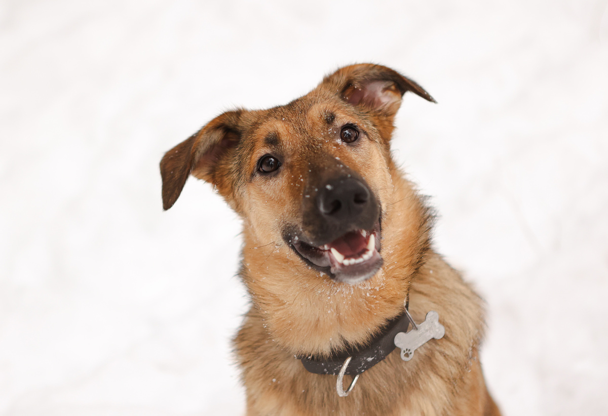 А чем моя морда была не такая раньше?