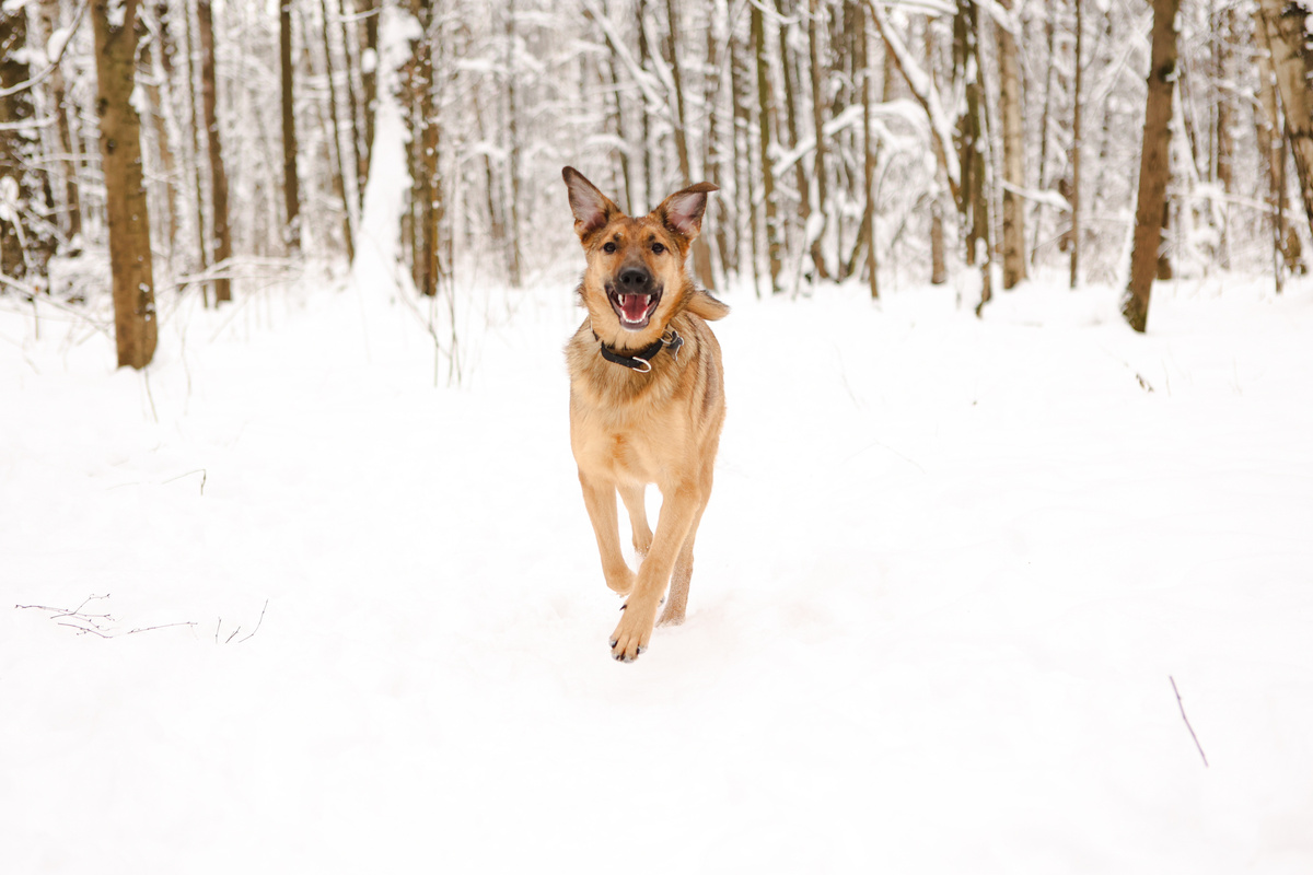 Всё при мне)