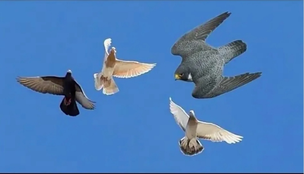 Фото из соцсетей