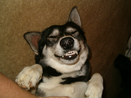 Короткометражки-1. Сельско-семейные разборы полётов.