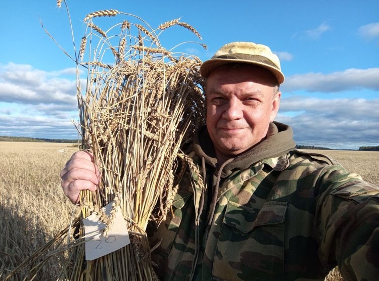    Фото: СПбГАУ