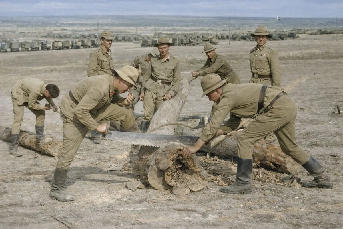 Фото для иллюстрации от Юрия Назарова.