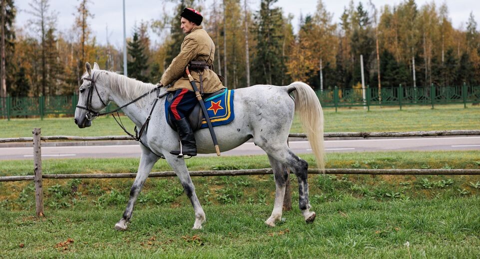    Медиасток.рф