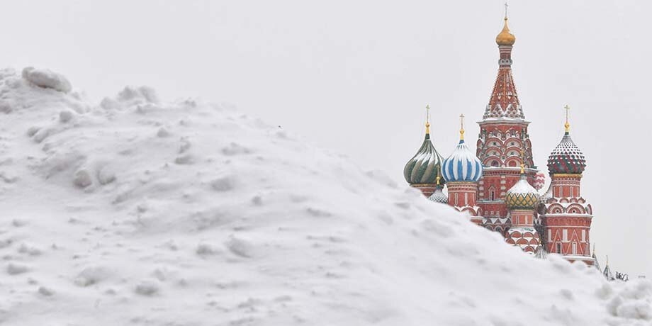    Фото: Москва 24/Юлия Иванко
