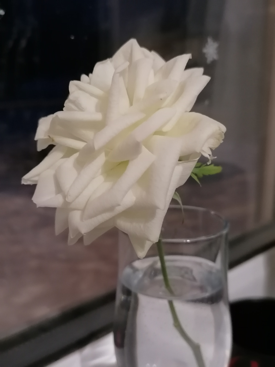 Сама вырастила, молодец я. 