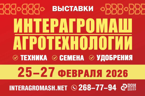    Фото сайта правительства РО Татьяна Пшеничная